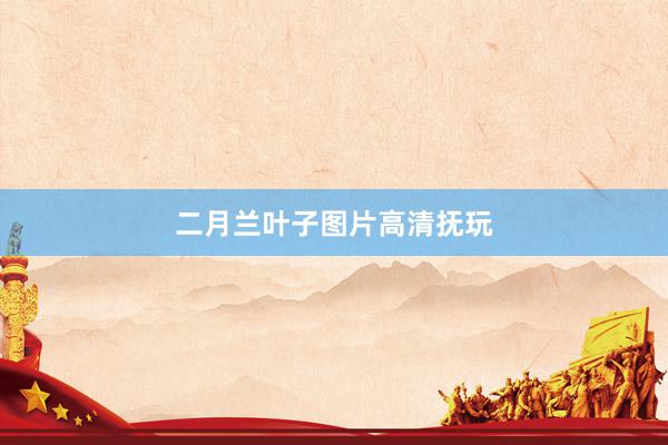 二月兰叶子图片高清抚玩